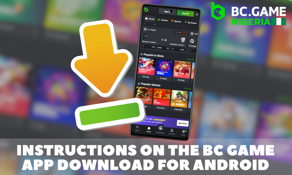 Stake.com Application Download And Install & Setup Guide (Android & iOS)